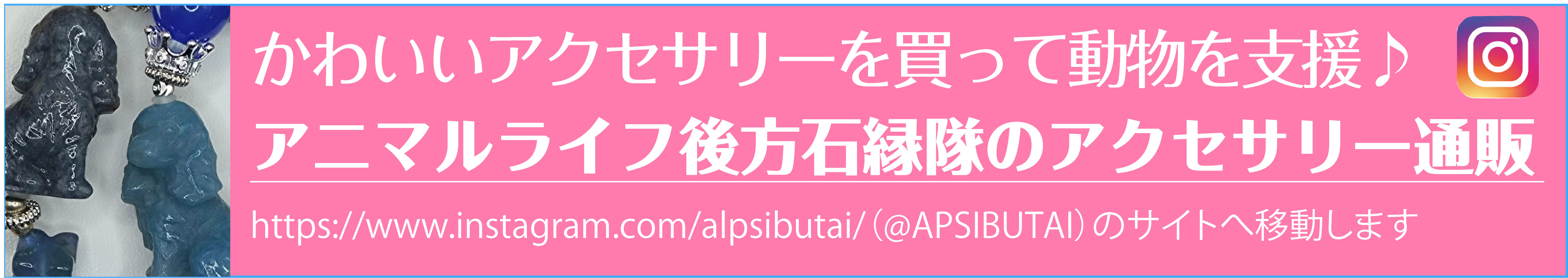ハンドメイドアクセサリーの購入で寄付が出来ます。インスタグラムアカウントalpsibutaiのサイトを開く。