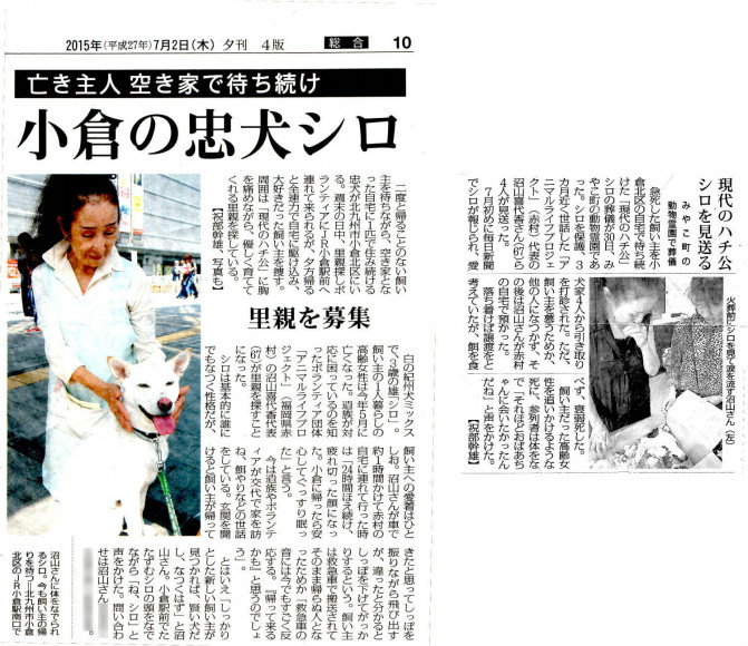 小倉のハチ公新聞記事
